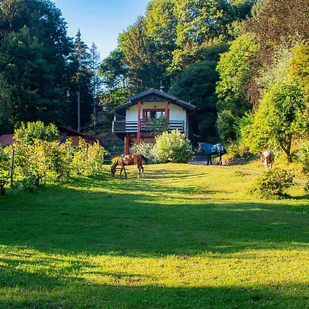 Apartamento Sorti Alpaca Luino